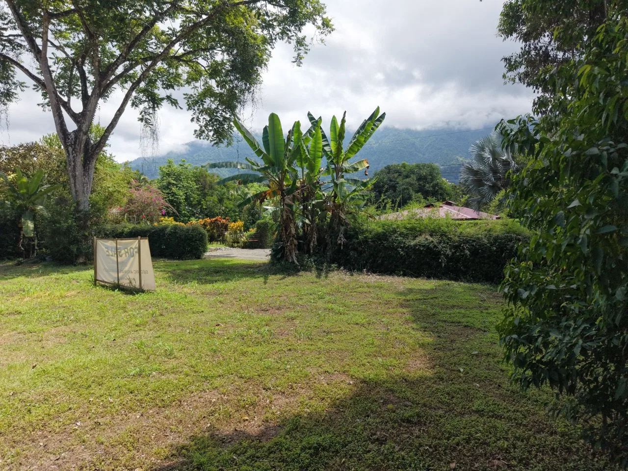 1/3 Acre of Flat Usable Land - 2wheel drive - multi-use, photo 8