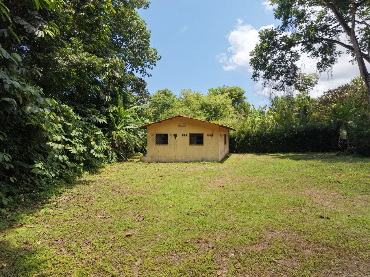 1/3 Acre of Flat Usable Land - 2wheel drive - multi-use, photo 9