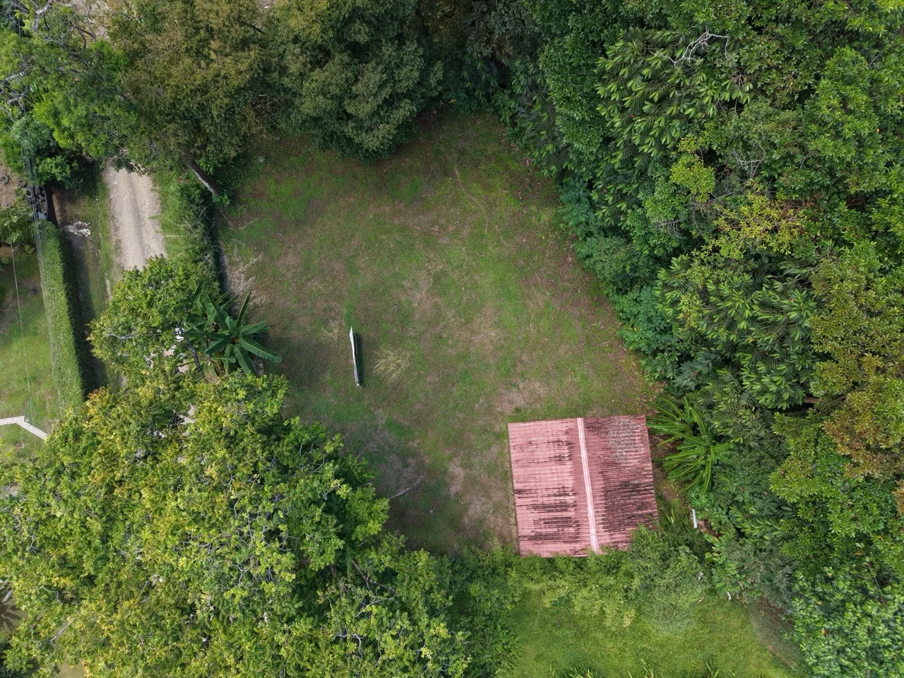 1/3 Acre of Flat Usable Land - 2wheel drive - multi-use, photo 10