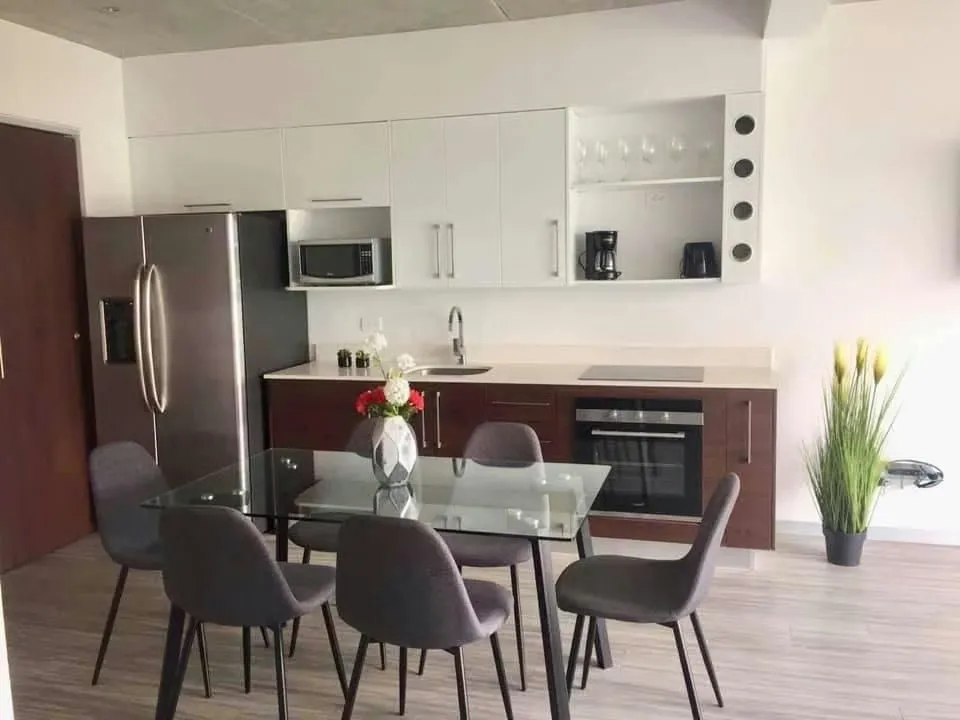 VENDO ACOGEDOR APARTAMENTO EN EDIFICIO EN BARRIO DENT, photo 3