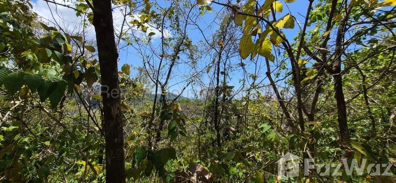 Land for Sale at Esterillos Oeste for $323,974