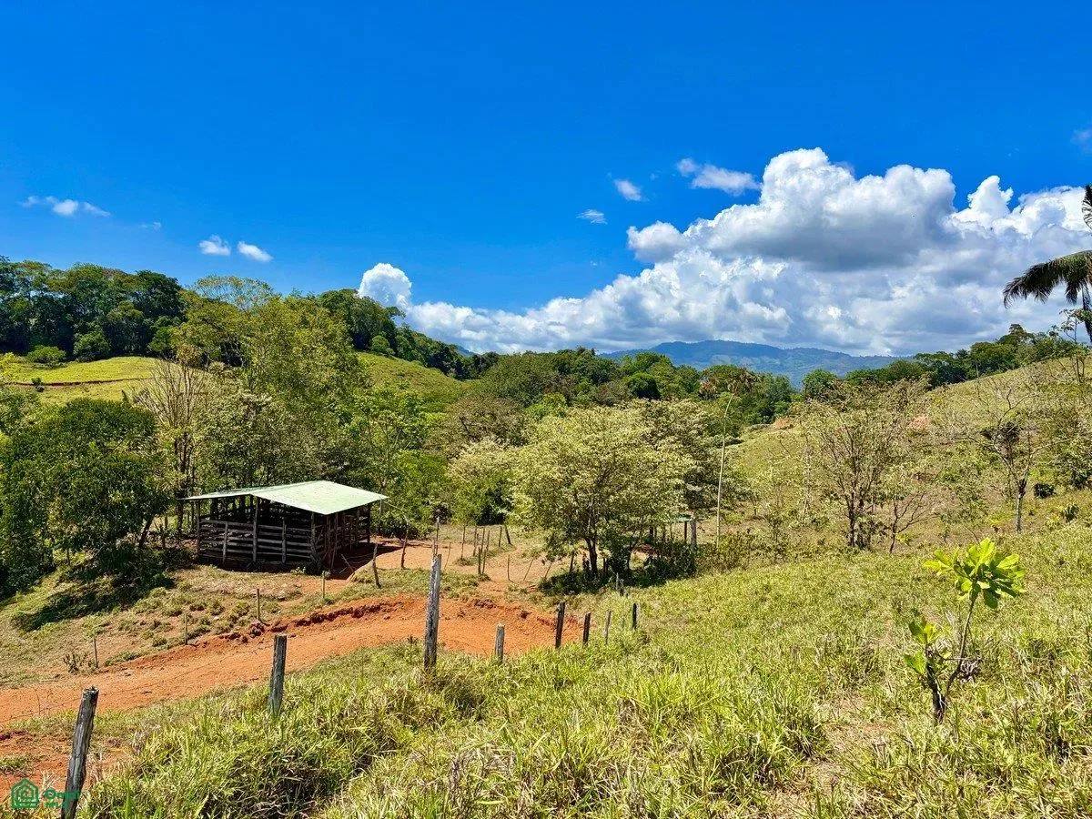 Dominical, Puntarenas, Puntarenas 60504
