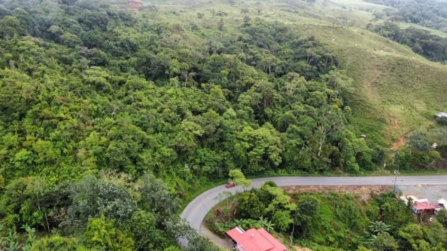 EN VENTA – 24.2 HECTÁREAS EN ALTO SAN JUAN - Venta en Perez Zeledón, photo 7