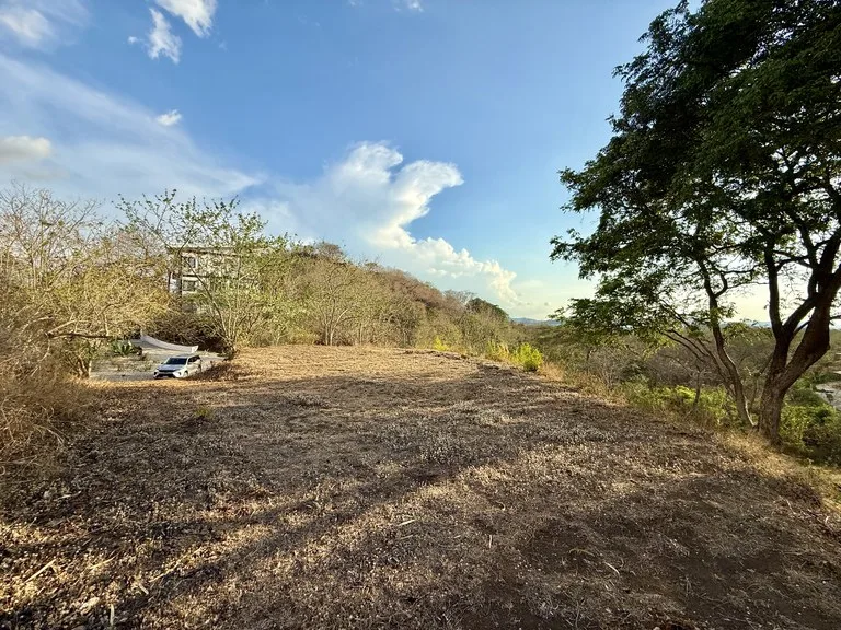 Lot 59 – La Marcela: Tranquil Jungle Ocean View Homesite in Potrero