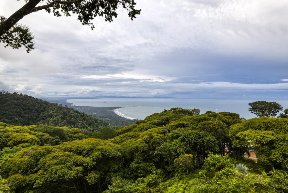 LUXURY PROPERTY WITH PANORAMIC VIEWS OF THE VALLEY AND OCEAN, IN COSTA VERDE – 4.13 ACRES, photo 10