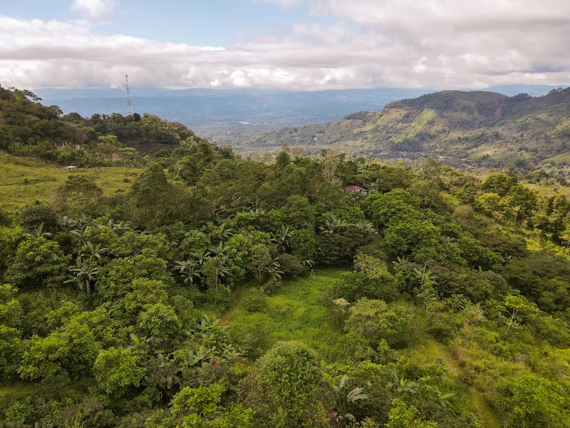 4 Bed Single Family Homes For Sale in Perez Zeledon, photo 2