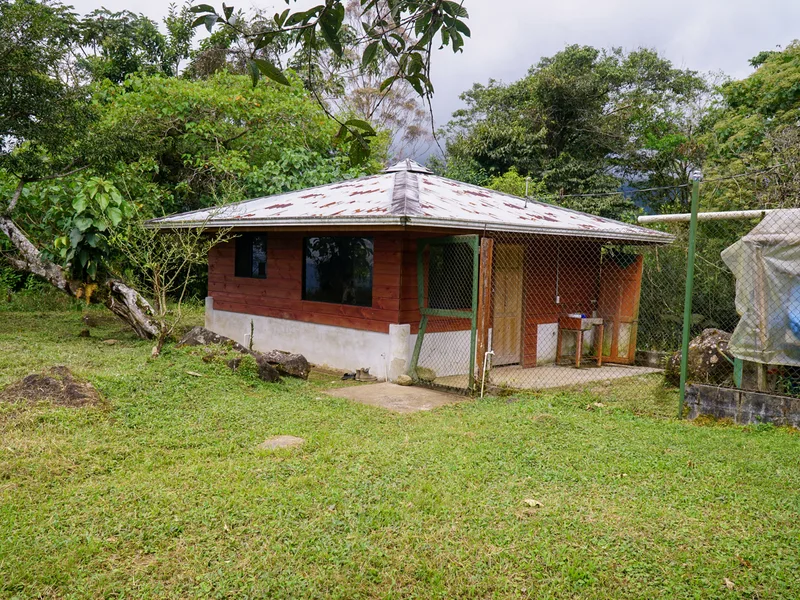 4 Bed Single Family Homes For Sale in Perez Zeledon, photo 15