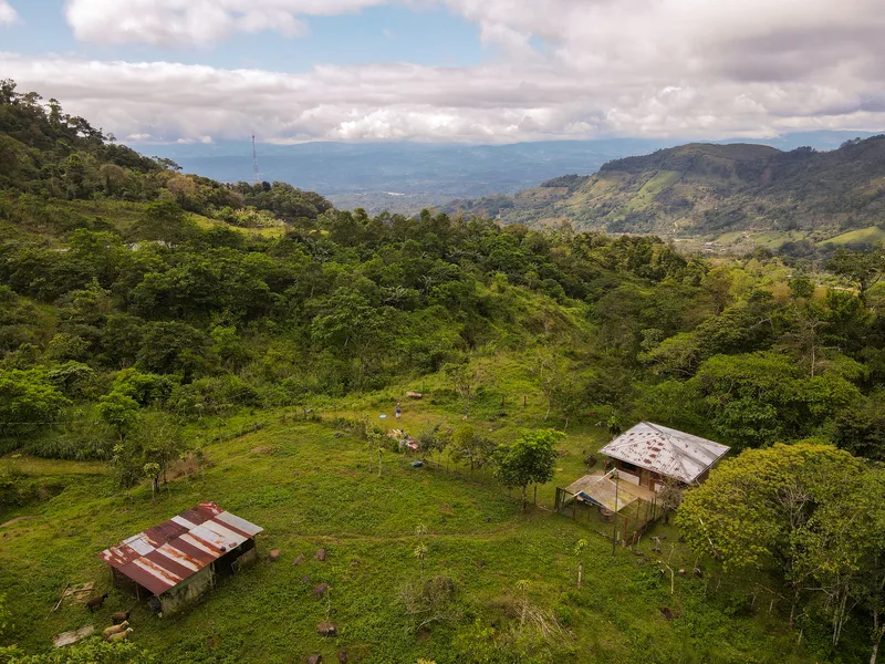 4 Bed Single Family Homes For Sale in Perez Zeledon, photo 4
