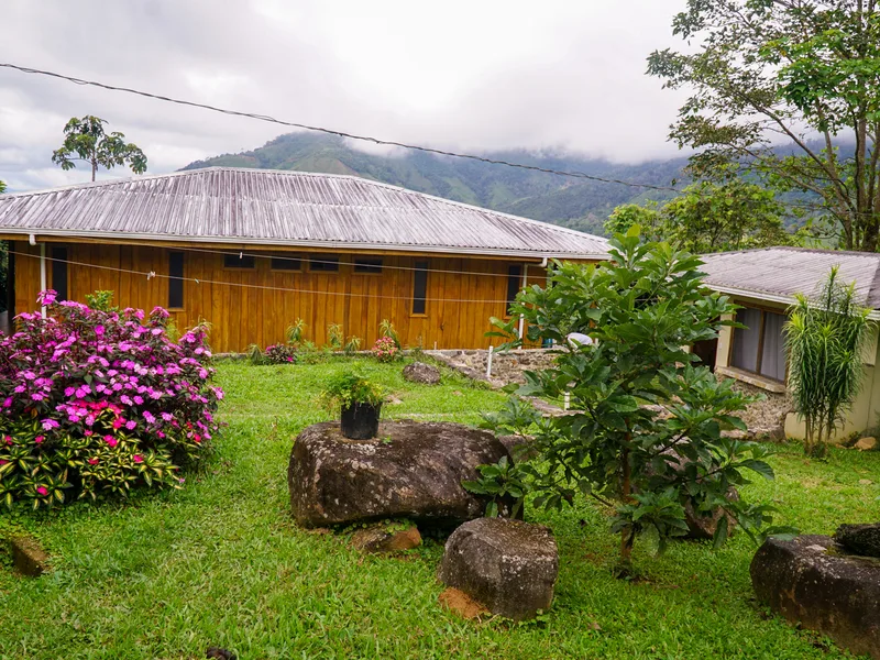4 Bed Single Family Homes For Sale in Perez Zeledon, photo 7