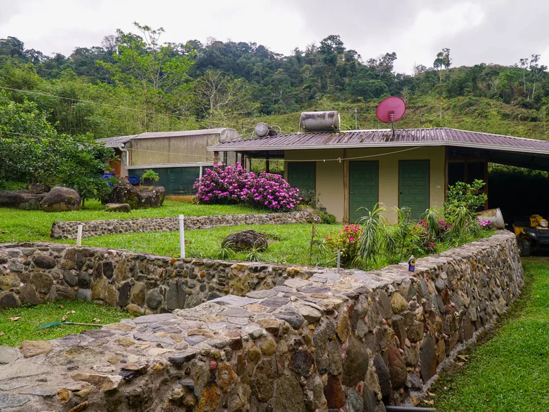 4 Bed Single Family Homes For Sale in Perez Zeledon, photo 9