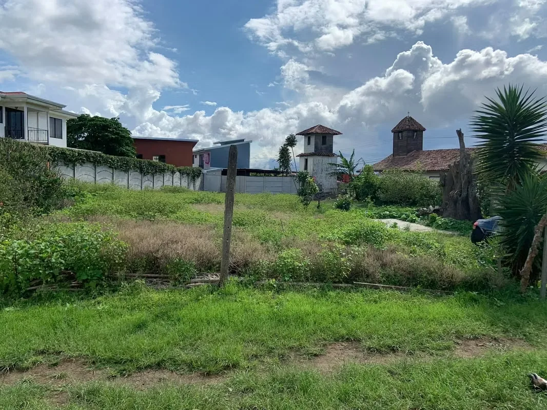 LOTE EN VENTA EN SAN MIGUEL DE SANTO DOMINGO DE HEREDIA.L 121026 Rau