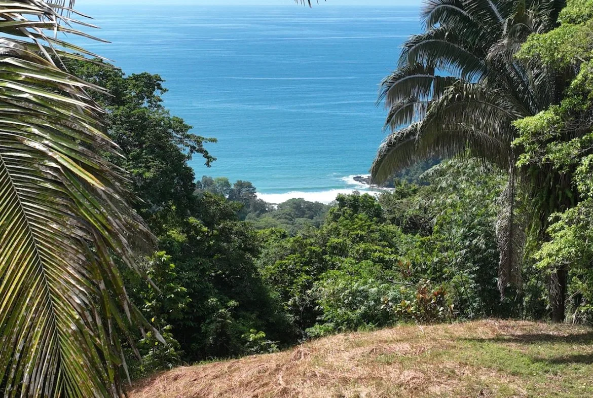 OCEAN VIEW LAND WITH PANORAMIC VIEWS – 3.95 ACRES, photo 12