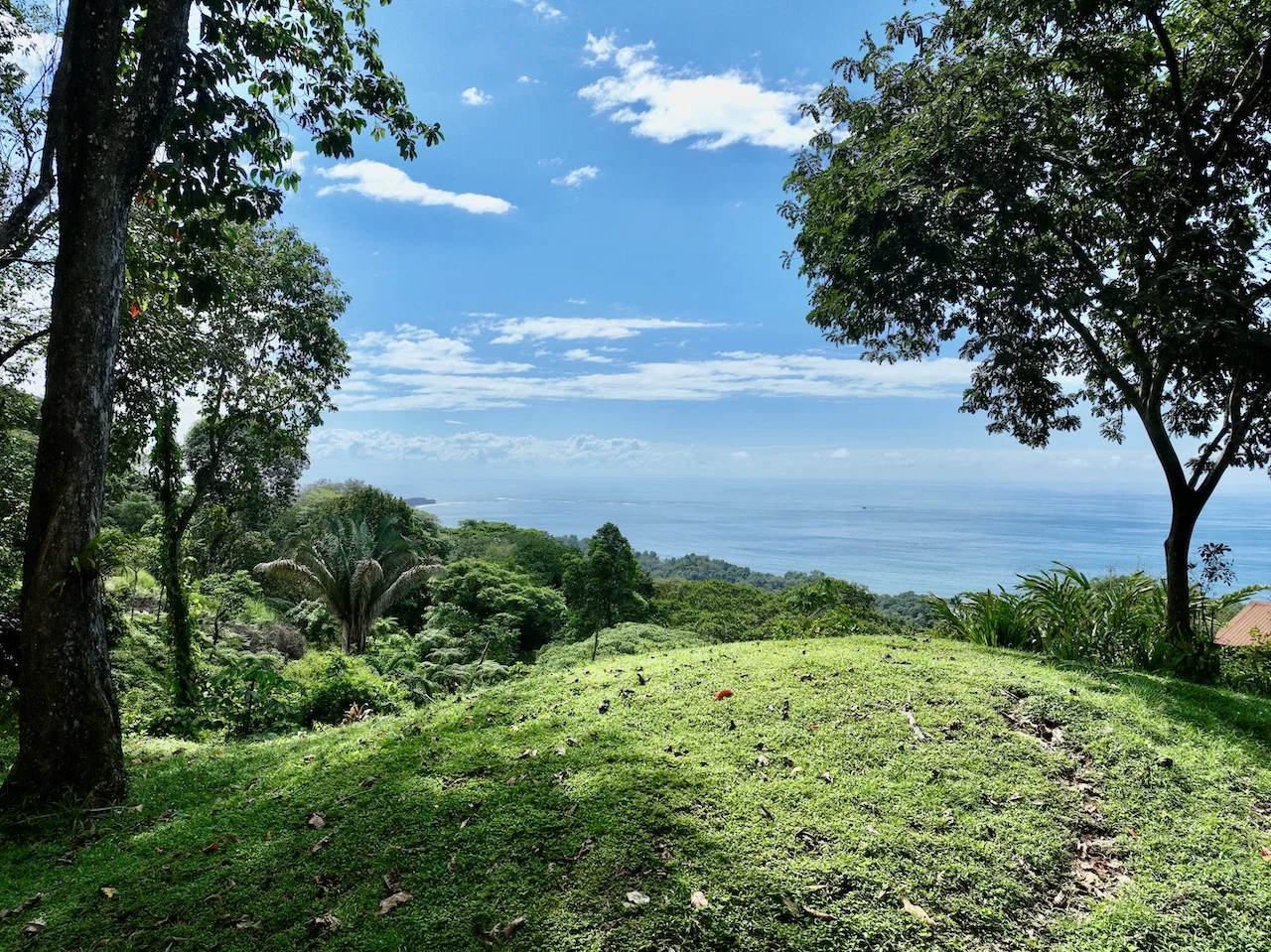 OCEAN VIEW LAND WITH PANORAMIC VIEWS – 3.95 ACRES, photo 13