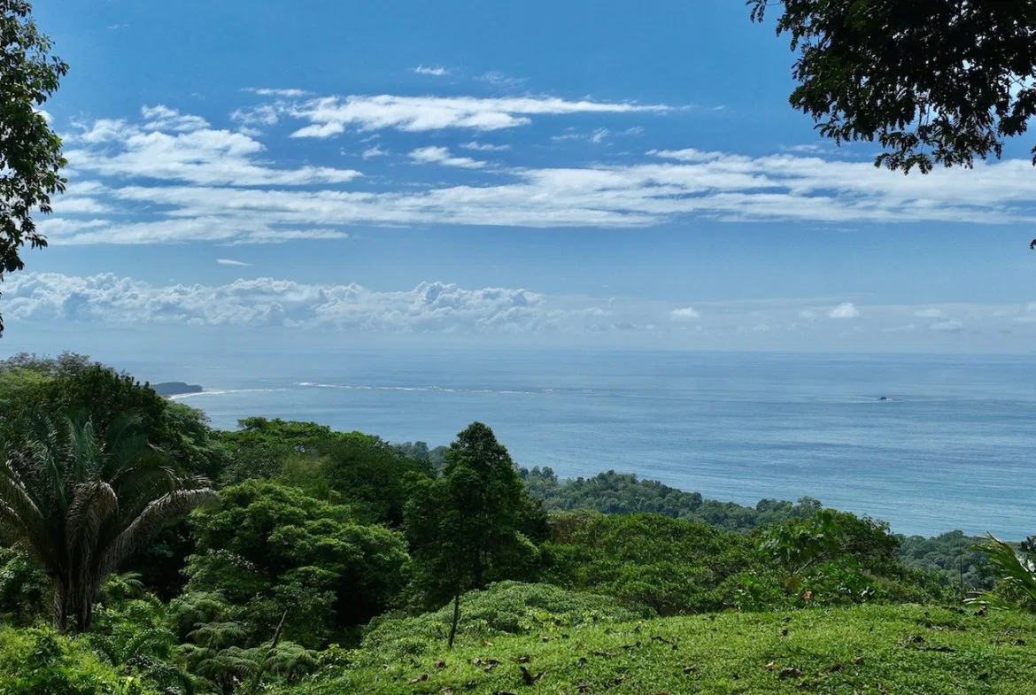 OCEAN VIEW LAND WITH PANORAMIC VIEWS – 3.95 ACRES, photo 16
