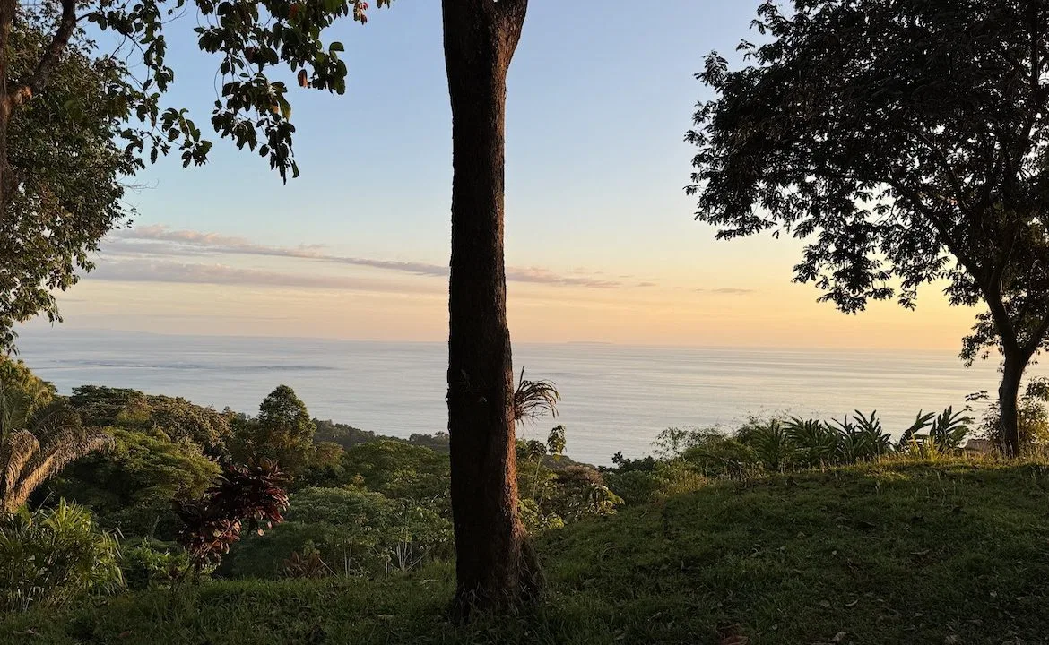 OCEAN VIEW LAND WITH PANORAMIC VIEWS – 3.95 ACRES, photo 4
