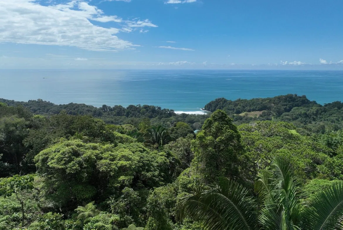 OCEAN VIEW LAND WITH PANORAMIC VIEWS – 3.95 ACRES, photo 8