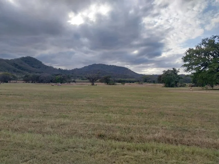 Development Parcel in Santa Cruz