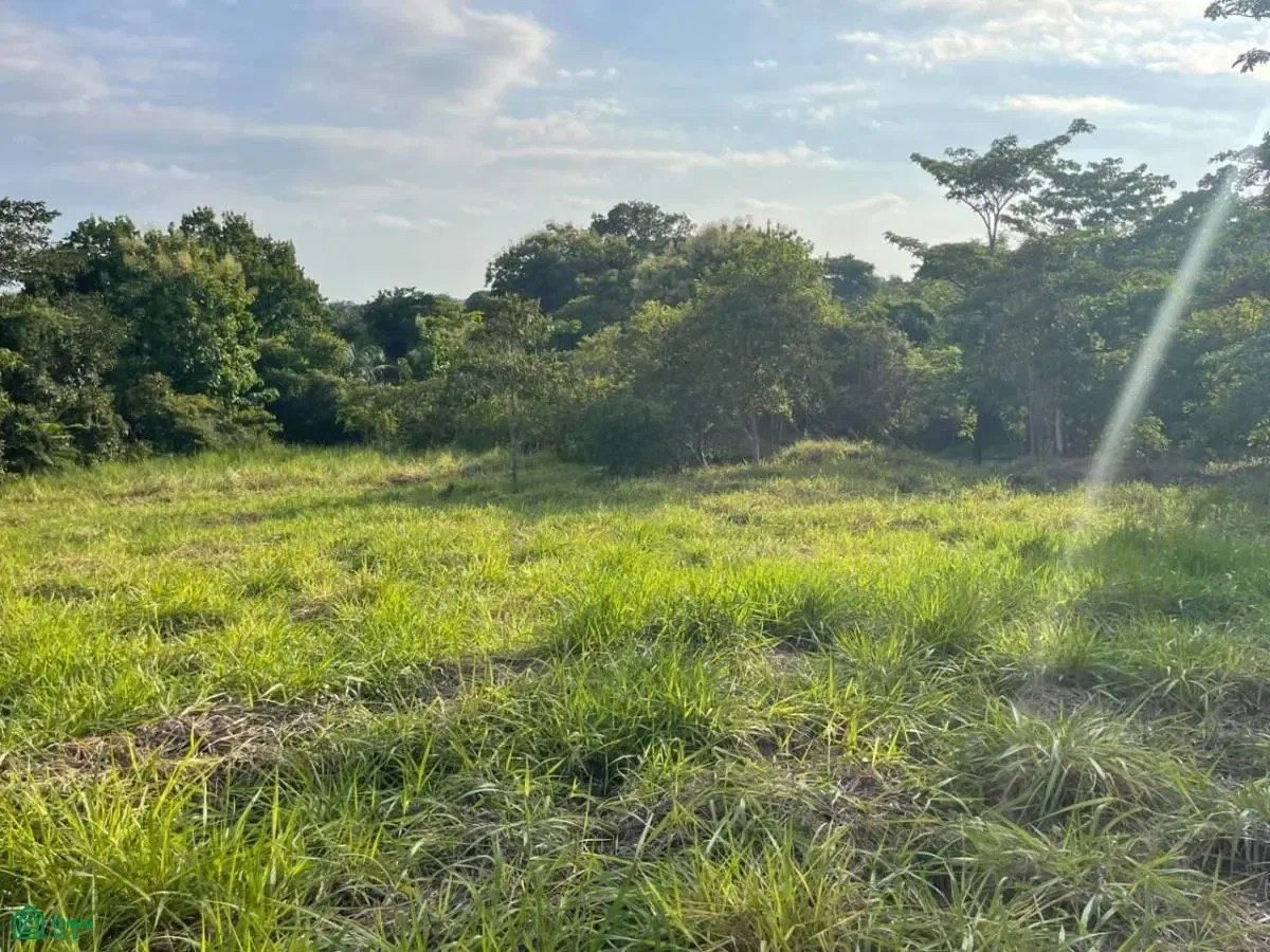 , Parrita, Puntarenas