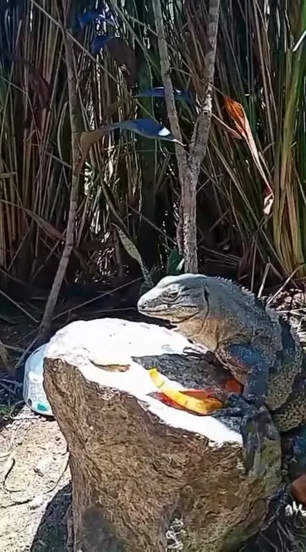 Excelente oportunidad en la reconocida Playa Hermosa de Jacó, uno de los destinos de surf más famosos de Costa Rica. La propiedad se encuentra frente al Hotel Terrazas del Pacífico y ..., photo 2