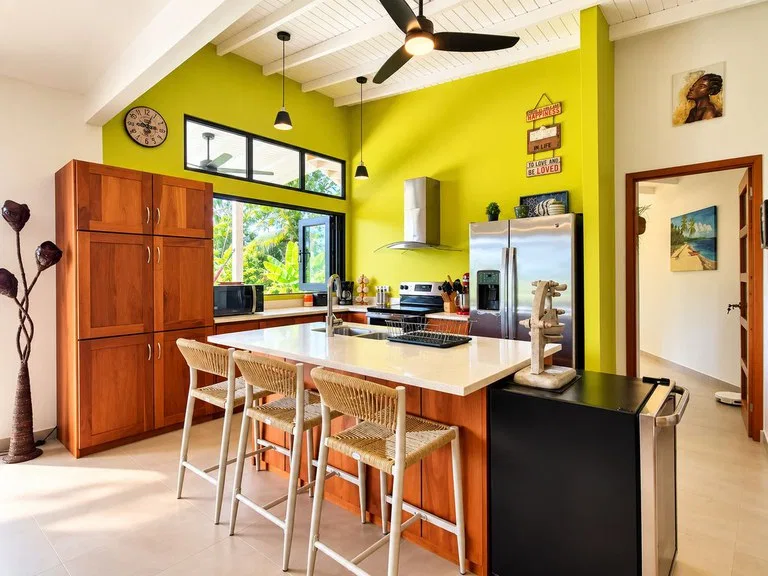 House in Playa Samara, photo 2