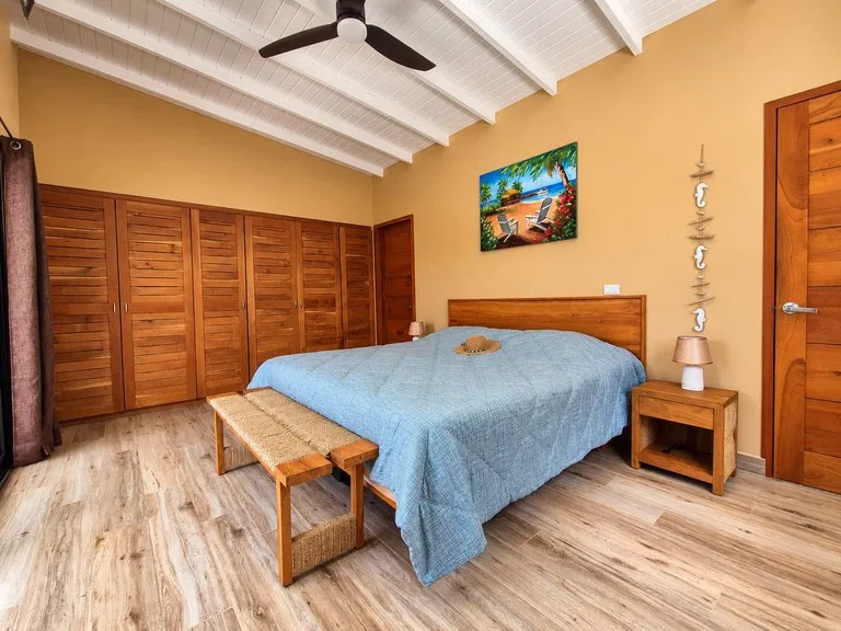 House in Playa Samara, photo 8