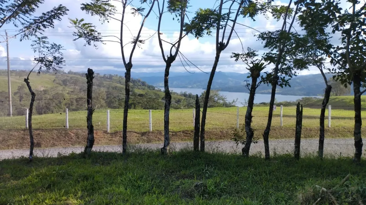 Hermosa y extensa finca con todas las facilidades que usted necesita para desarrollar su negocio a plenitud ubicada en Nuevo ..., photo 2