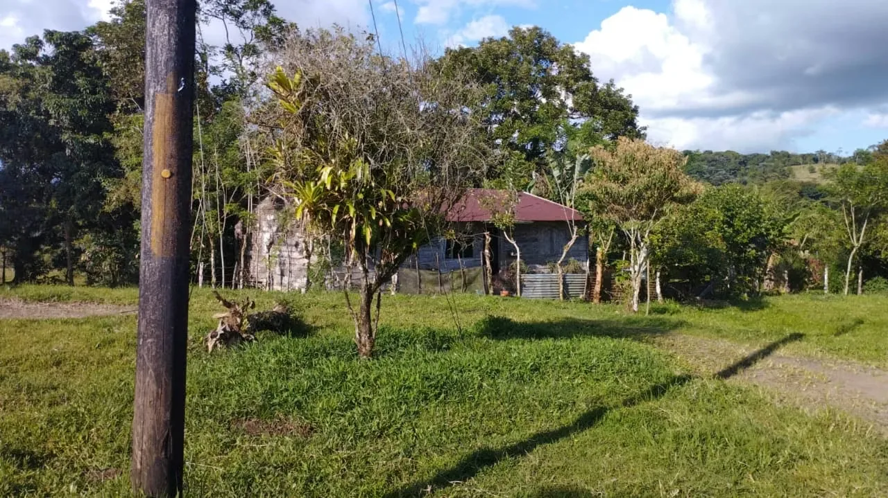 Hermosa y extensa finca con todas las facilidades que usted necesita para desarrollar su negocio a plenitud ubicada en Nuevo ..., photo 3