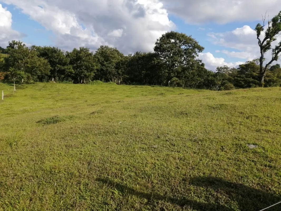 Hermosa y extensa finca con todas las facilidades que usted necesita para desarrollar su negocio a plenitud ubicada en Nuevo ..., photo 7