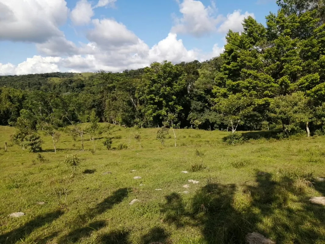 Hermosa y extensa finca con todas las facilidades que usted necesita para desarrollar su negocio a plenitud ubicada en Nuevo ..., photo 8
