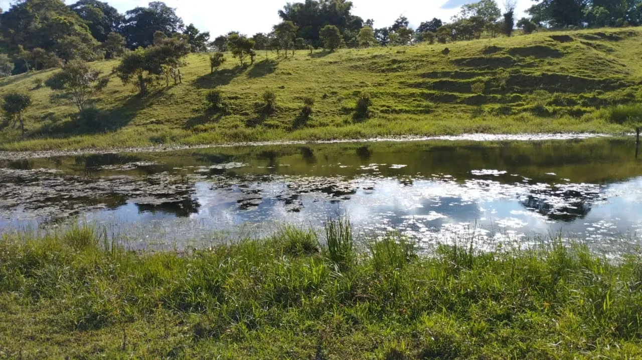 Hermosa y extensa finca con todas las facilidades que usted necesita para desarrollar su negocio a plenitud ubicada en Nuevo ..., photo 10