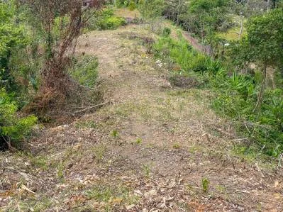 Propiedad de 2.2 acres con vista al mar en Ojochal, Costa Rica, photo 3