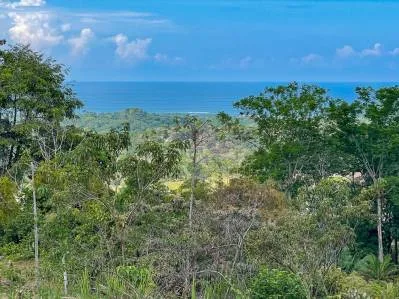 Propiedad de 2.2 acres con vista al mar en Ojochal, Costa Rica, photo 5