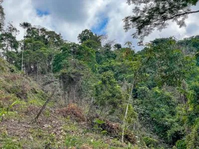 Propiedad de 2.2 acres con vista al mar en Ojochal, Costa Rica, photo 6