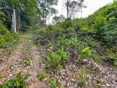 Propiedad de 2.2 acres con vista al mar en Ojochal, Costa Rica, photo 8