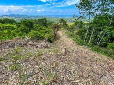 Propiedad de 2.2 acres con vista al mar en Ojochal, Costa Rica, photo 9