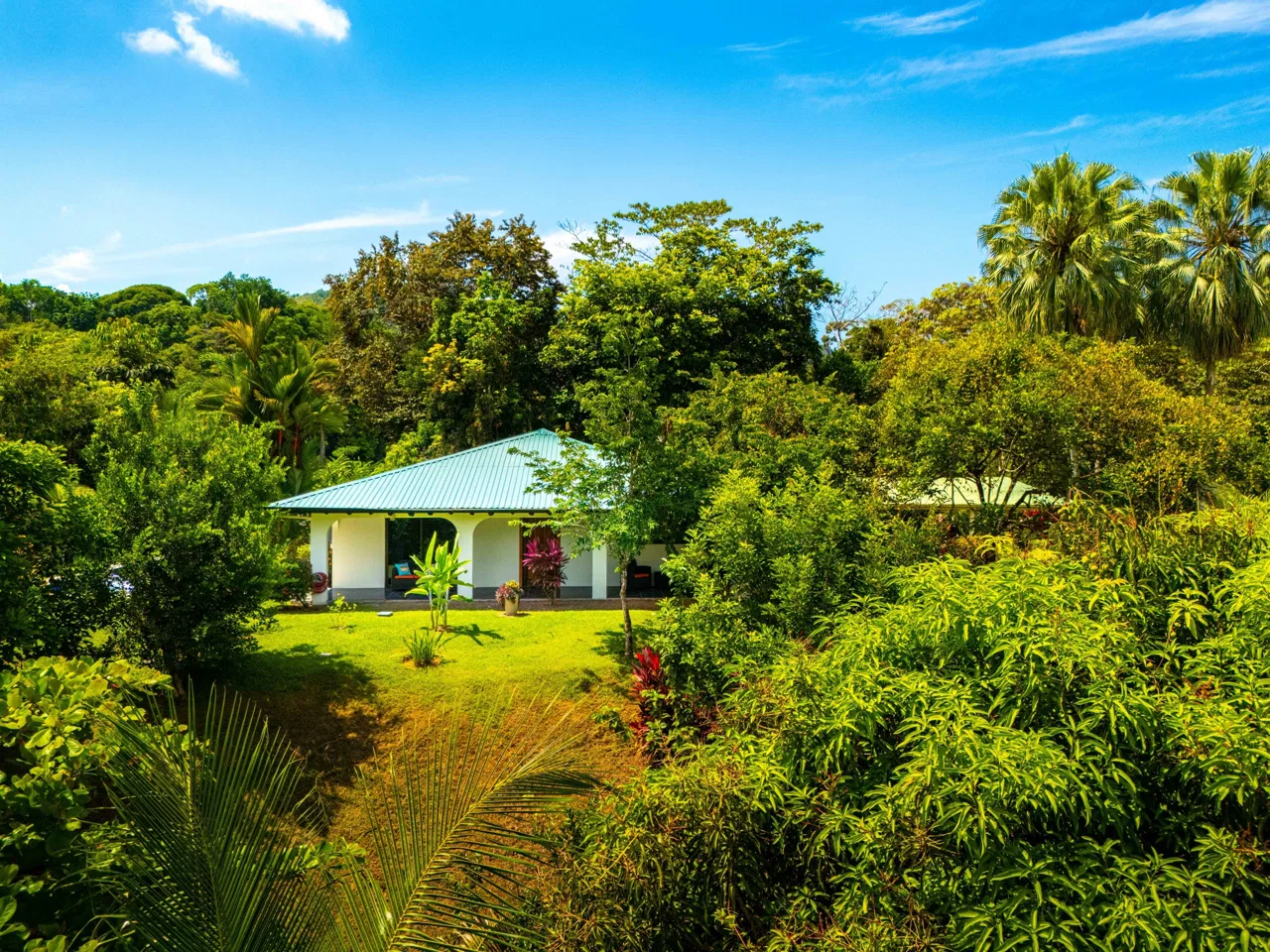 CASA TUCAN PROPERTY IN THE MIDDLE OF THE NATURE, IN TRES RIOS – 1.18 ACRES, photo 7