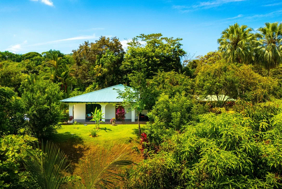 CASA TUCAN PROPERTY IN THE MIDDLE OF THE NATURE, IN TRES RIOS – 1.18 ACRES, photo 8