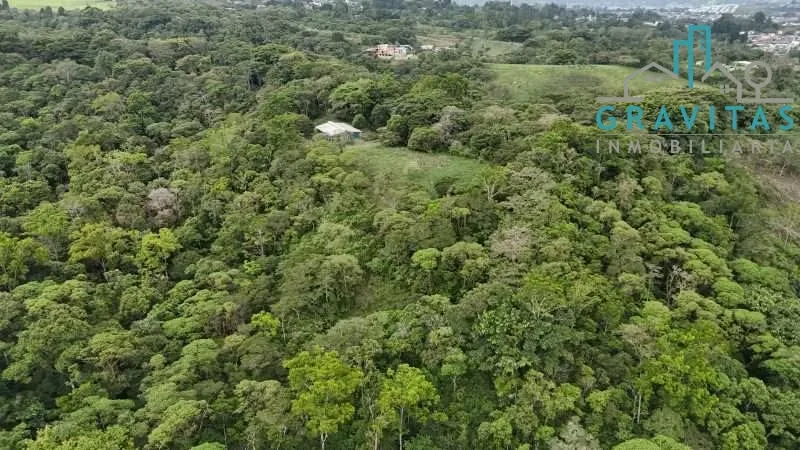 Property for sale in San Rafael, Montes de Oca, 4 hectares, ID 1989, photo 5