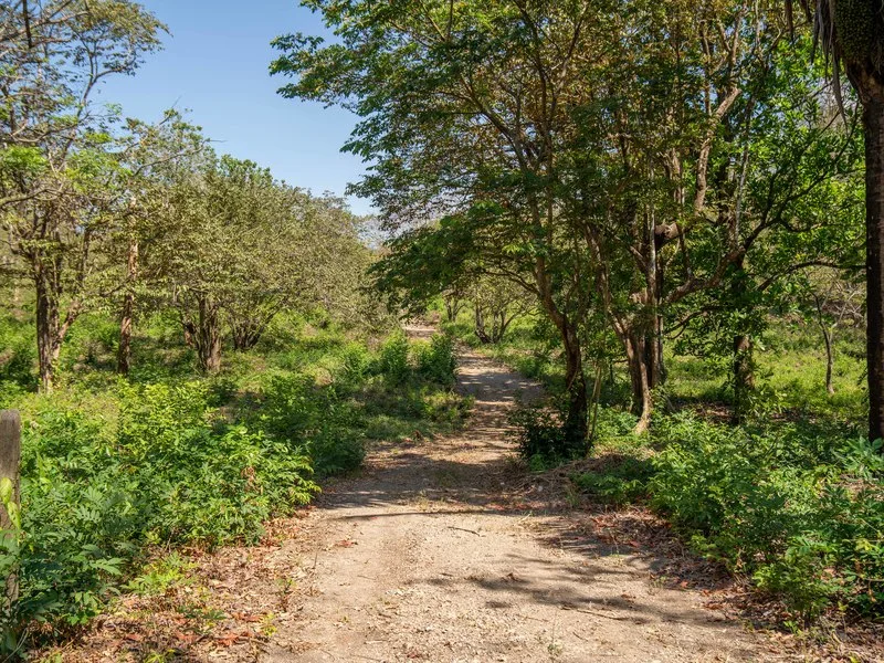 Land For Sale in Samara, photo 6