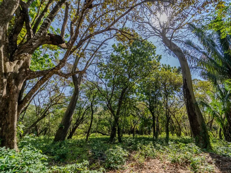 Land For Sale in Samara, photo 7