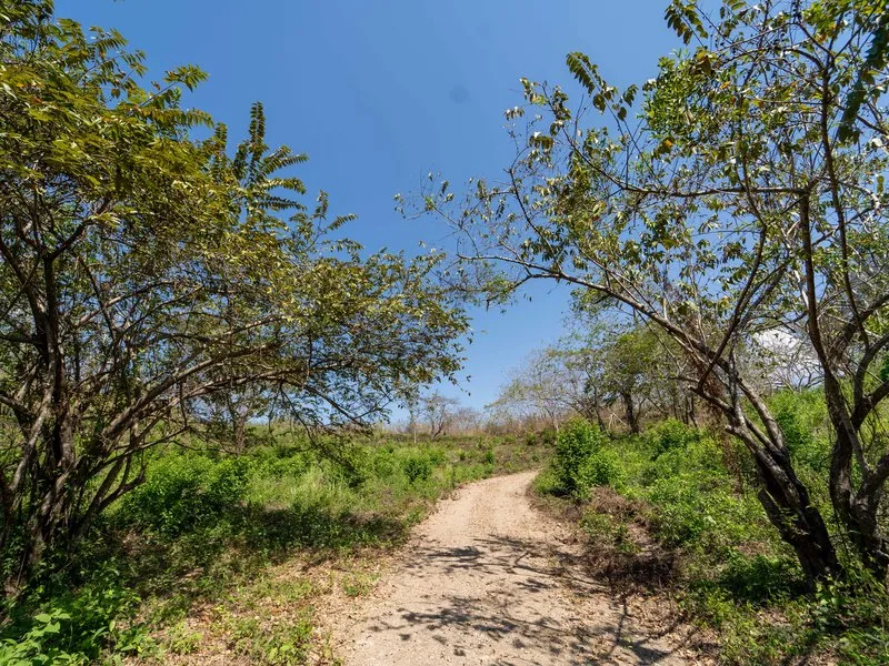Land For Sale in Samara, photo 8