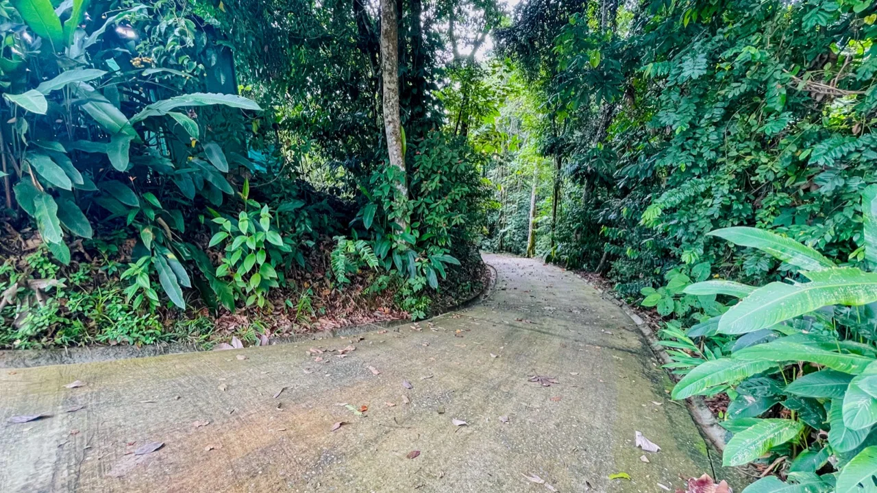 TWO FLOOR PROPERTY WITH A GUEST HOUSE AND OCEAN VIEWS, IN OJOCHAL – 1.55 ACRES, photo 5