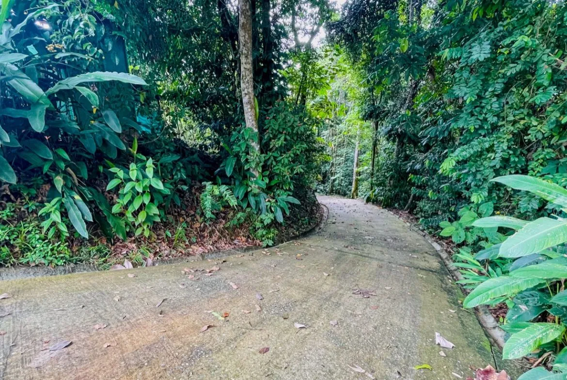 TWO FLOOR PROPERTY WITH A GUEST HOUSE AND OCEAN VIEWS, IN OJOCHAL – 1.55 ACRES, photo 6