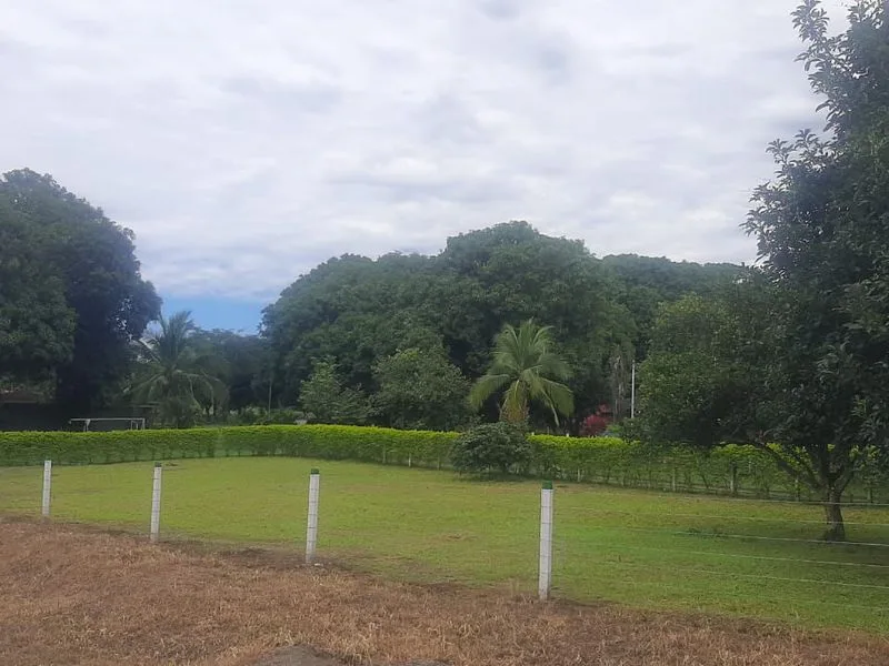 Land For Sale in Orotina