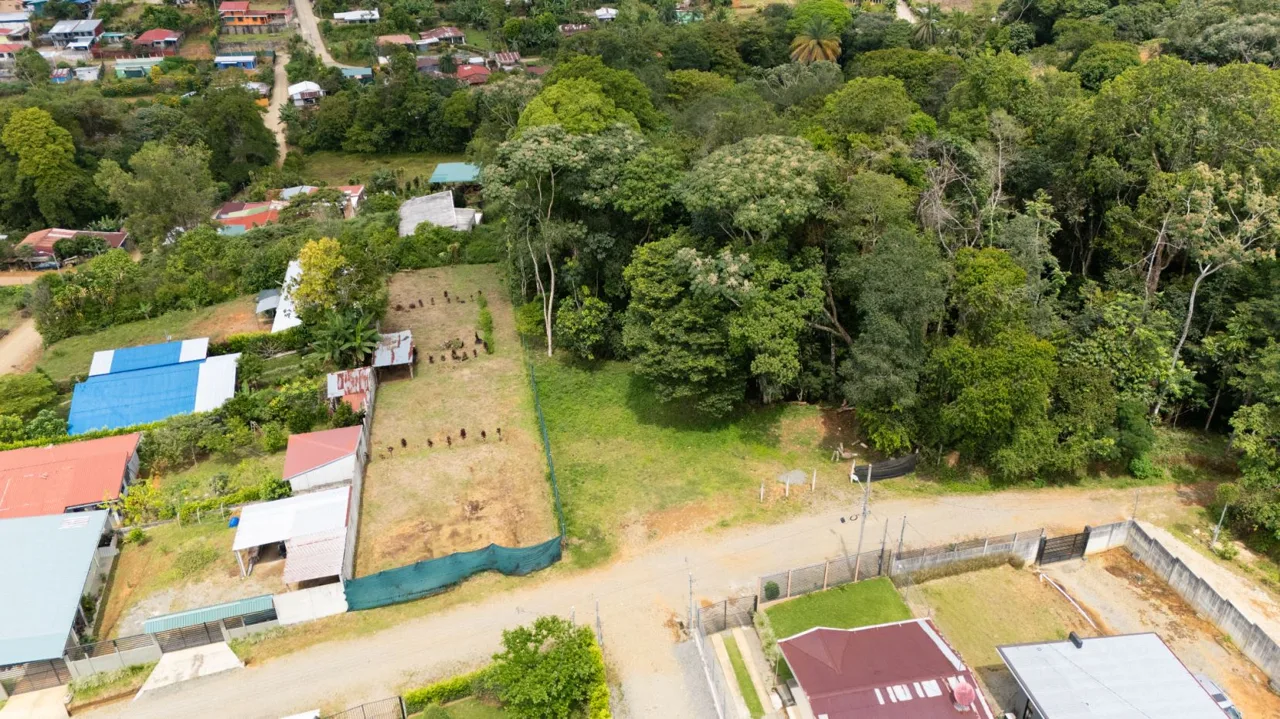 Investment Lot for Sale in La Bonita, Perez Zeledon, Costa Rica, photo 6