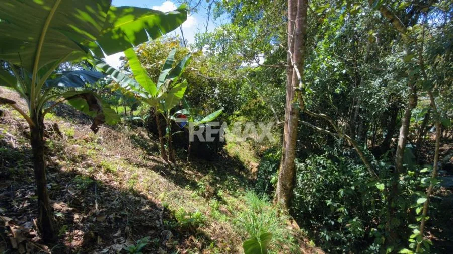 LOTE EN VENTA EN PÉREZ ZELEDÓN – 1,712 m² CON VISTA AL CERRO CHIRRIPÓ Y QUEBRADA - Venta en Perez Zeledón, photo 6