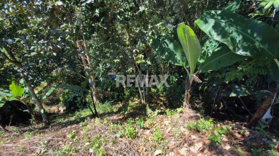 LOTE EN VENTA EN PÉREZ ZELEDÓN – 1,712 m² CON VISTA AL CERRO CHIRRIPÓ Y QUEBRADA - Venta en Perez Zeledón, photo 7