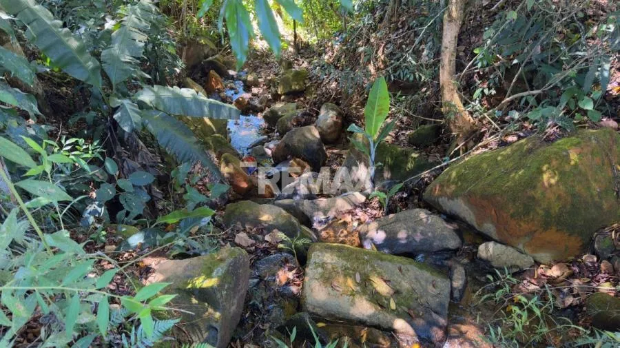 LOTE EN VENTA EN PÉREZ ZELEDÓN – 1,712 m² CON VISTA AL CERRO CHIRRIPÓ Y QUEBRADA - Venta en Perez Zeledón, photo 8