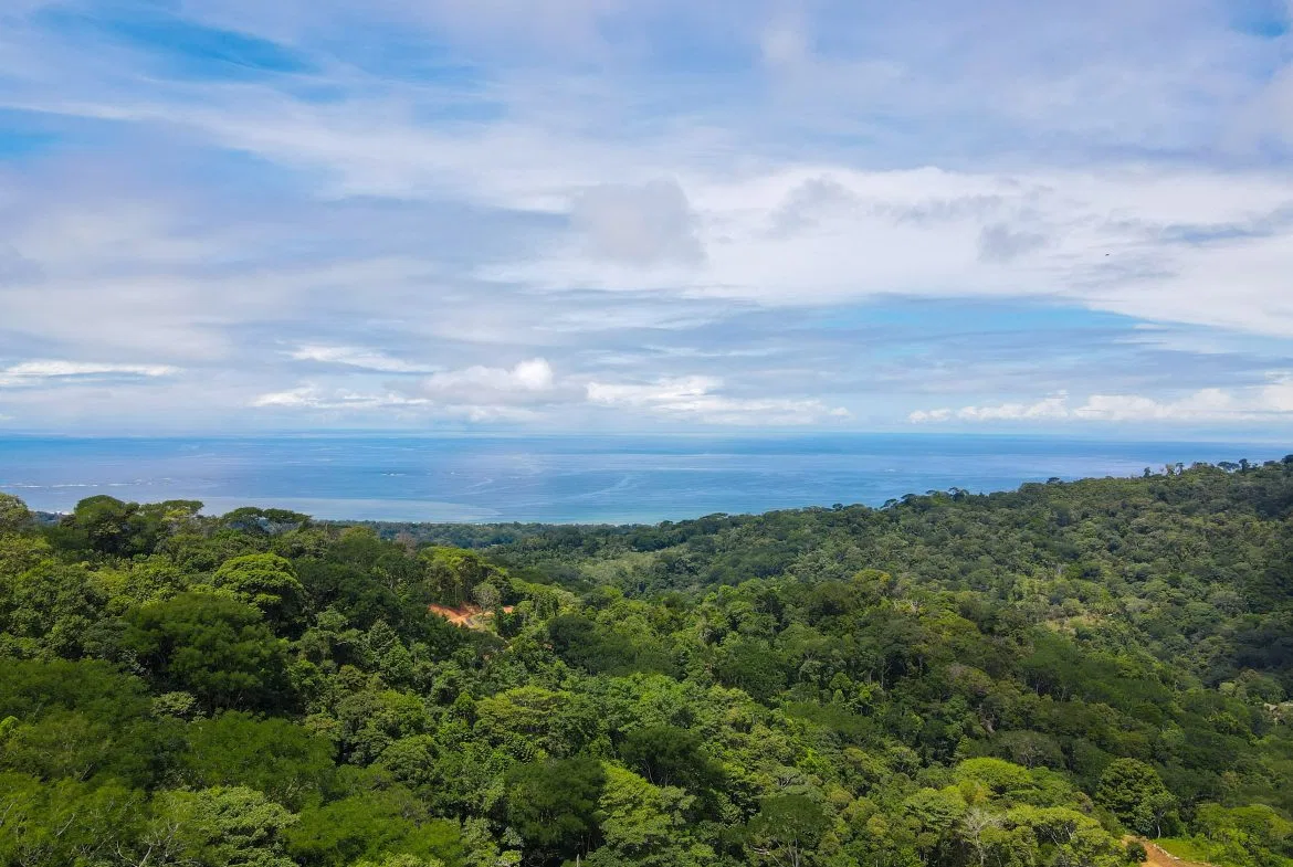 OCEAN VIEW LOTS  WITH OCEAN, JUNGLE AND MOUNTAIN VIEWS IN UVITA, photo 2