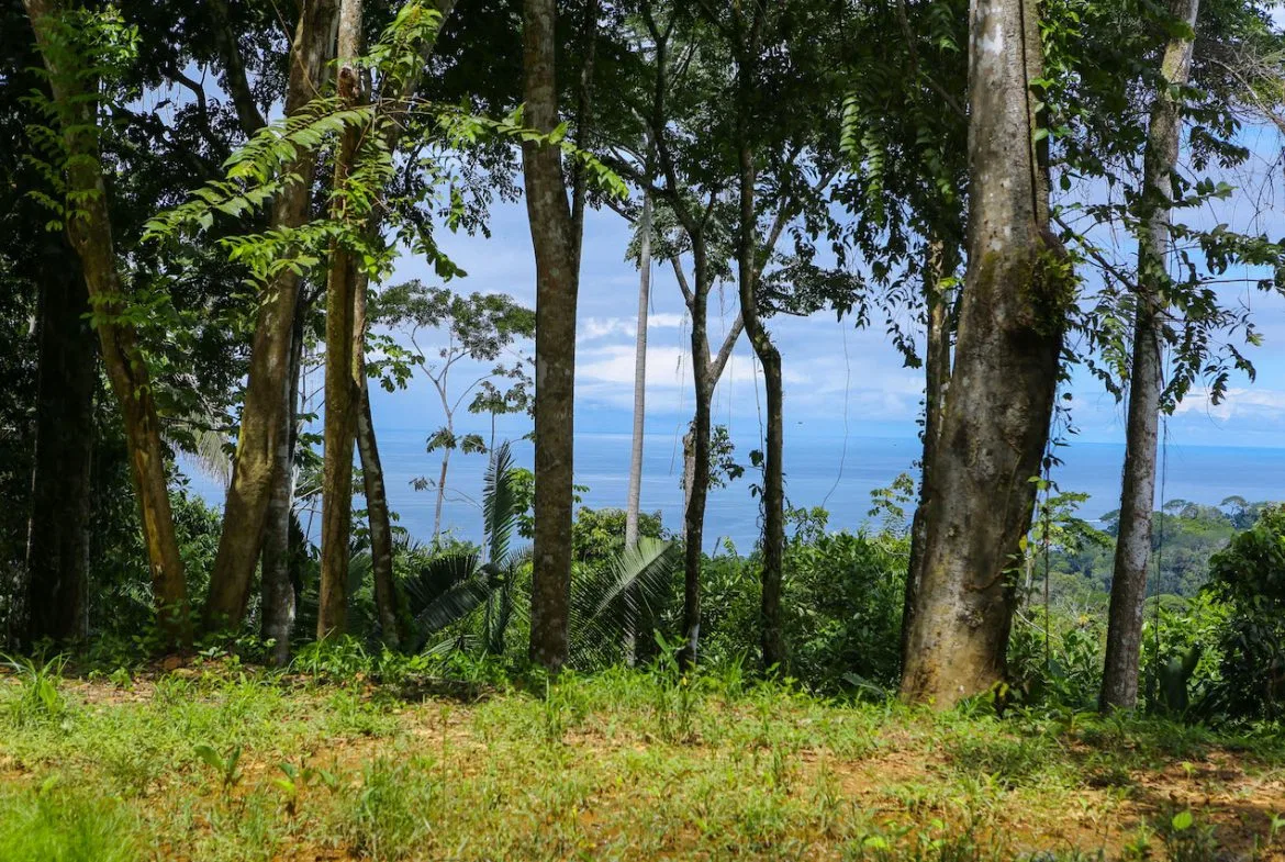OCEAN VIEW LOTS  WITH OCEAN, JUNGLE AND MOUNTAIN VIEWS IN UVITA, photo 12